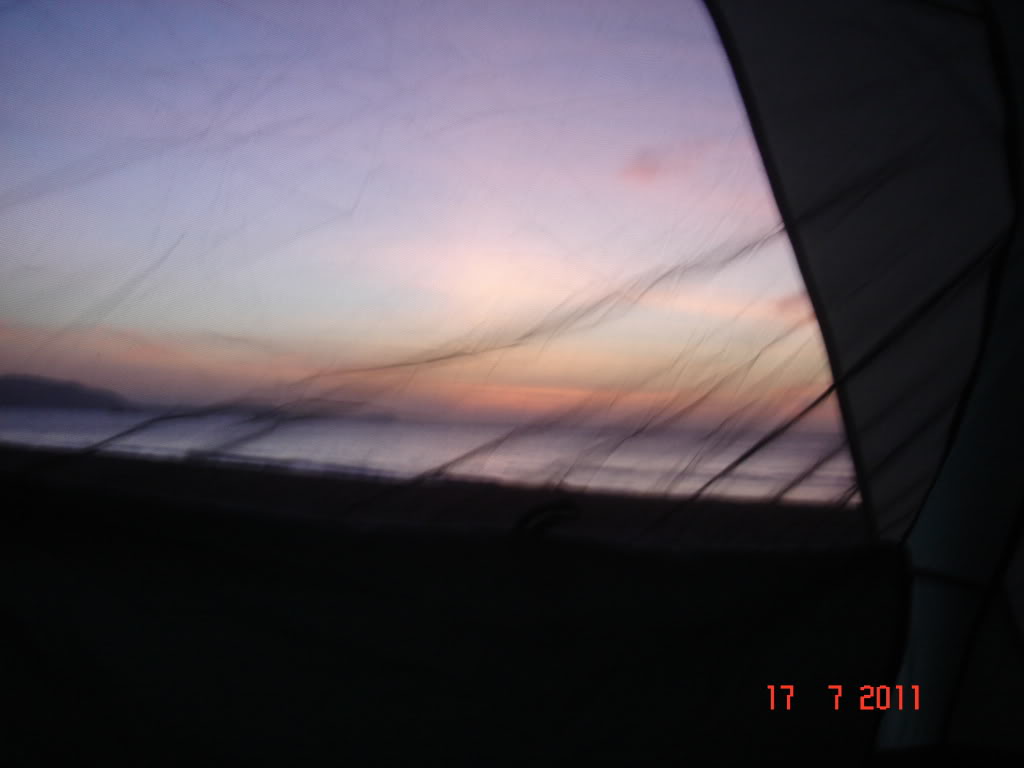 DSC01331.jpg