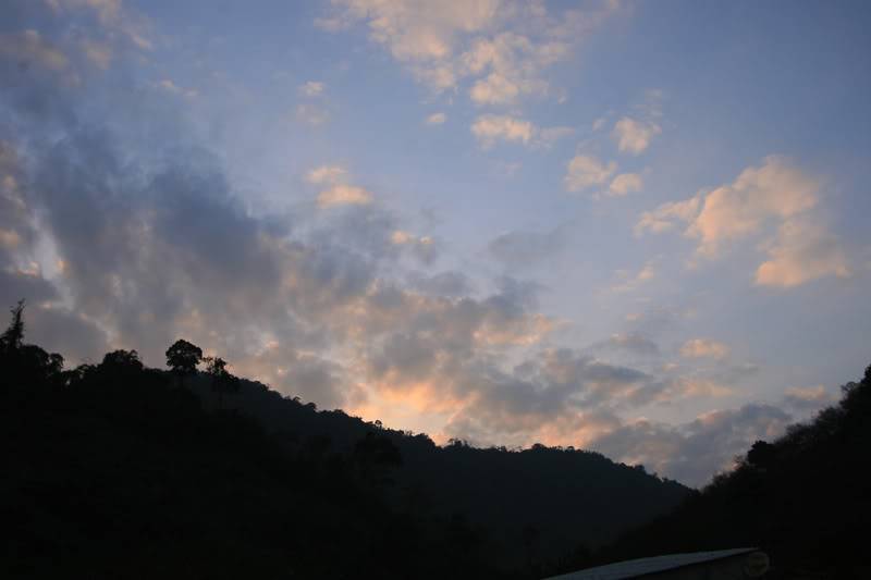 IMG_1646.jpg