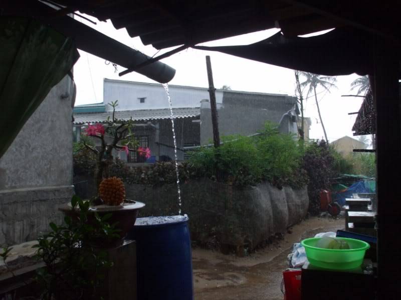 DSCF7044.jpg