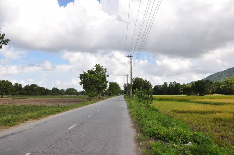 DSC_4271_resize.jpg