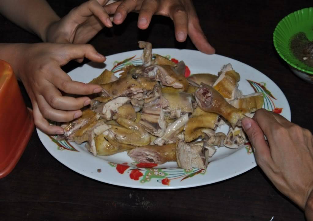 26.jpg