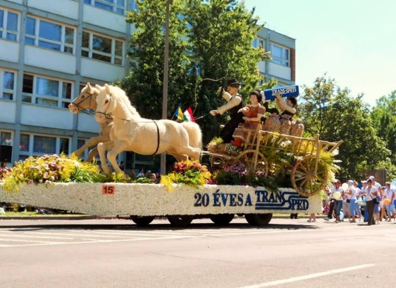 DSCN0452.jpg