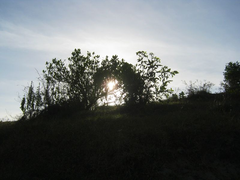 IMG_9028.jpg
