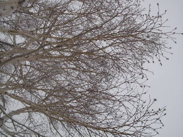 IMG_3405_resize.jpg