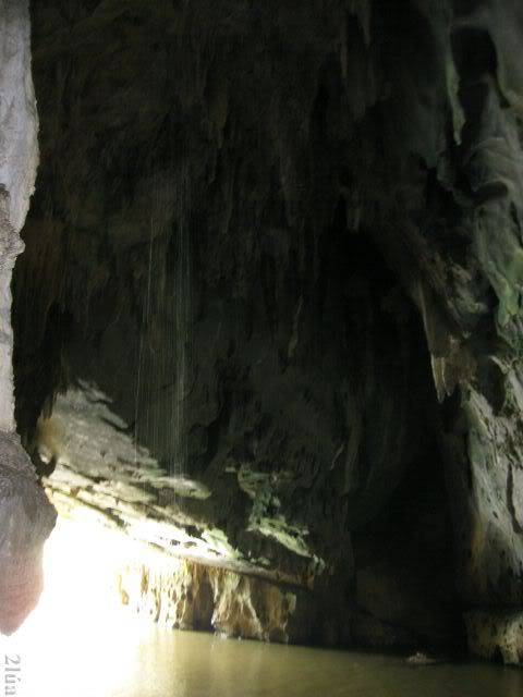 IMG_2593.jpg
