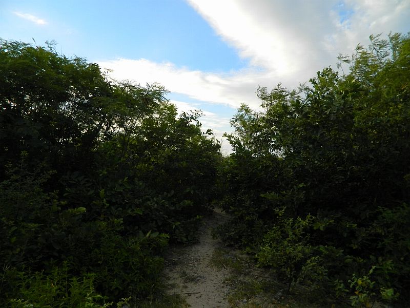 DSCN4359_187.jpg