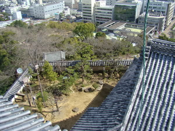 DSC02616_resize.jpg