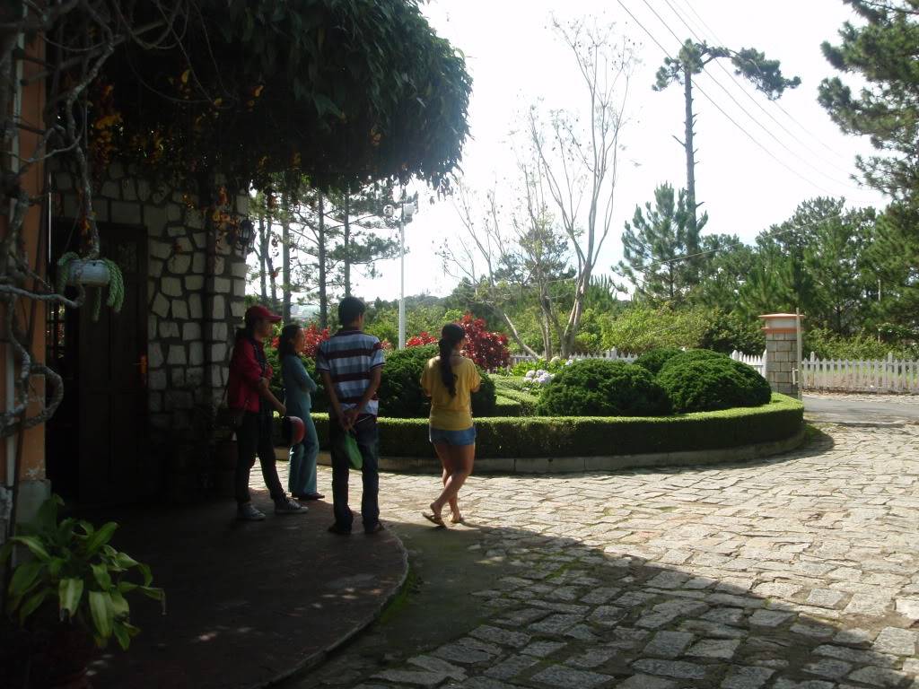 P1014146.jpg