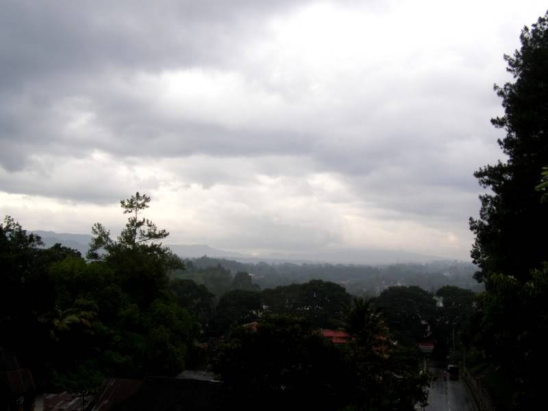 P7240594.jpg