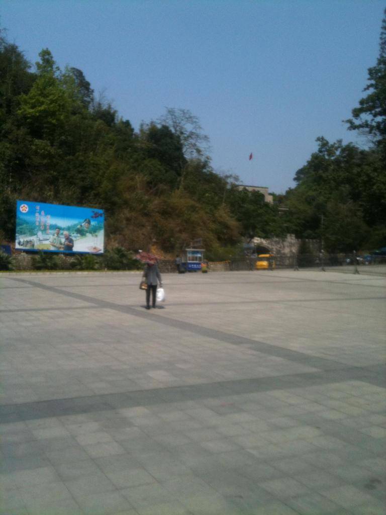 IMG_1589_zps673706df.jpg