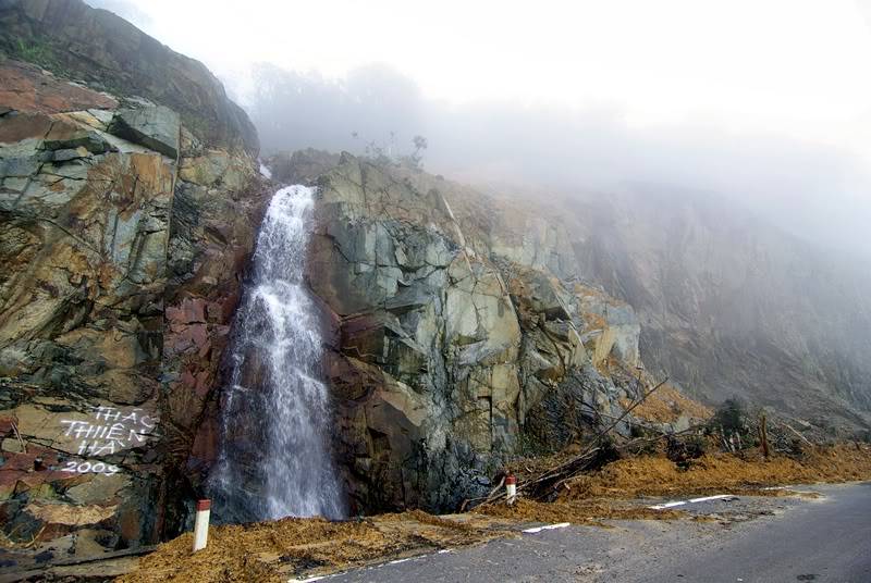 c0495.jpg