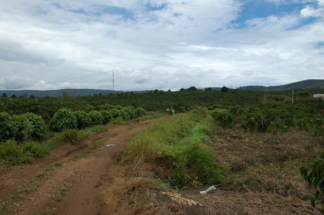 DSC_3097.jpg