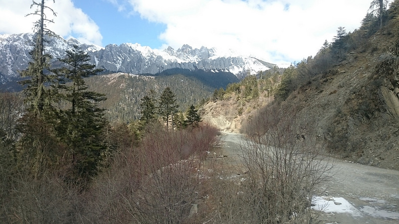 29523716201_8838739fc7_c.jpg