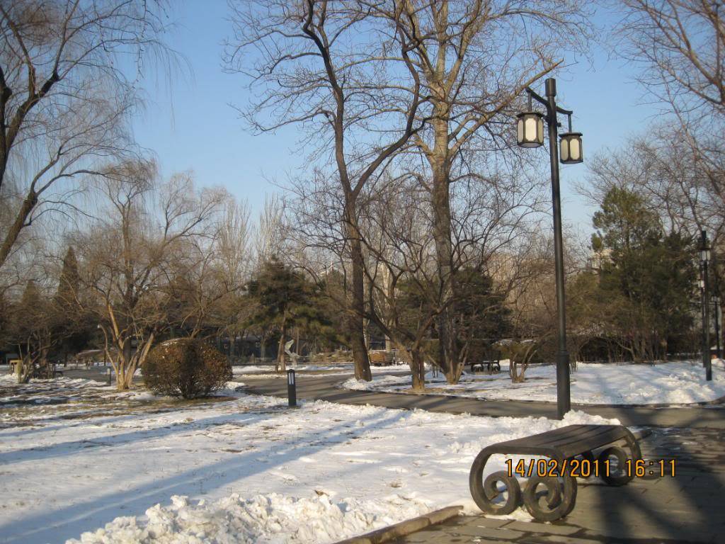 IMG_5998.jpg