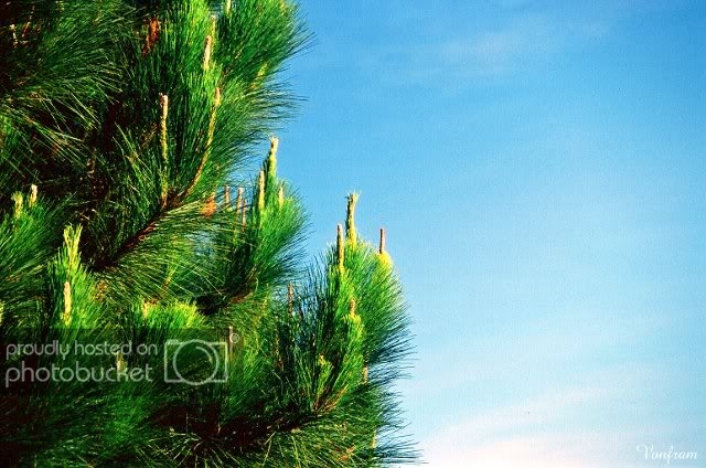 00051-30.jpg