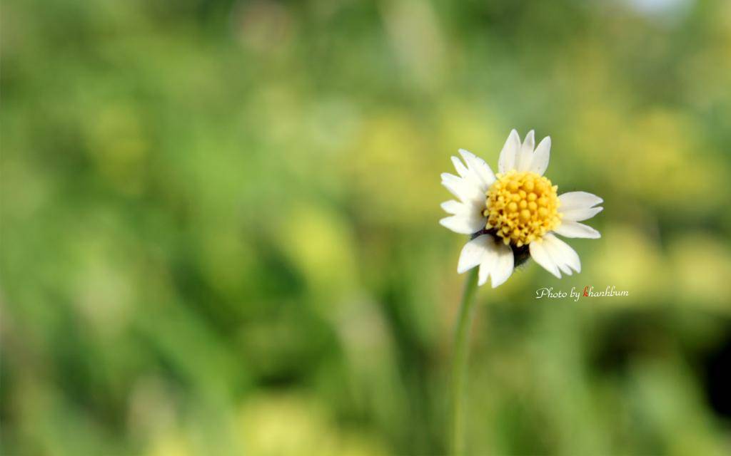 KG0039.jpg