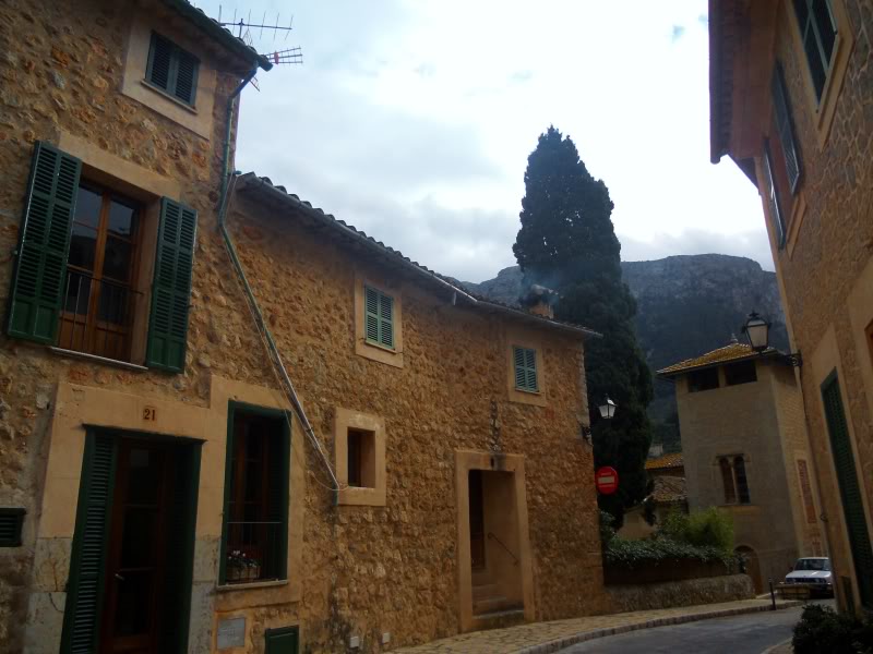 DSCN6242.jpg