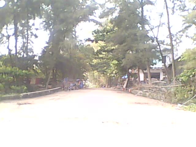 IMG0086A.jpg