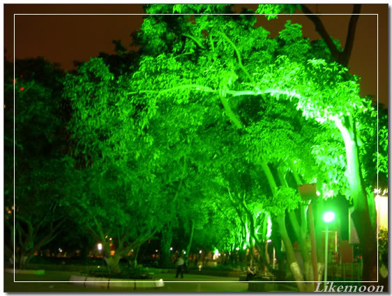 DSCN3706.jpg