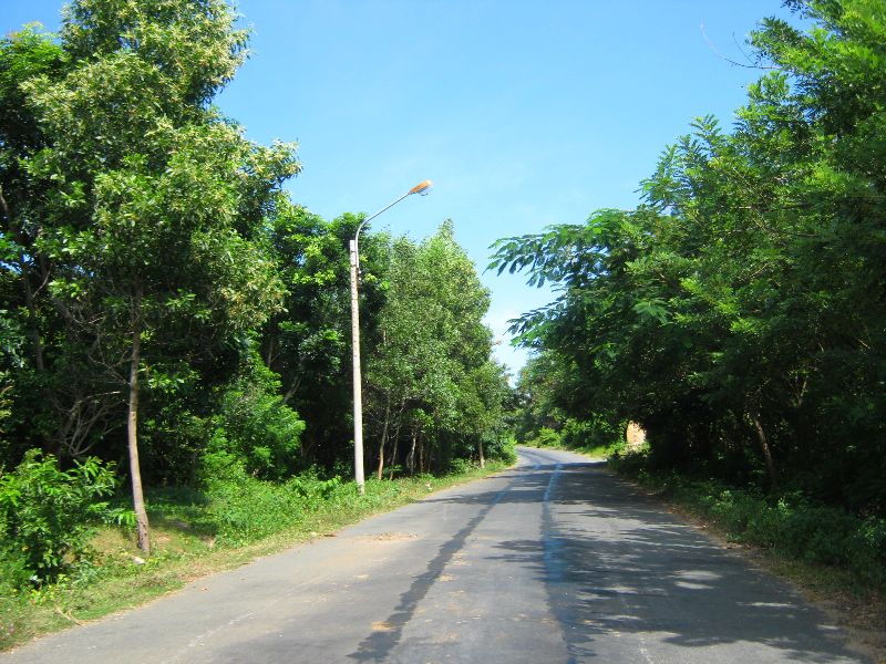 IMG_8255.jpg