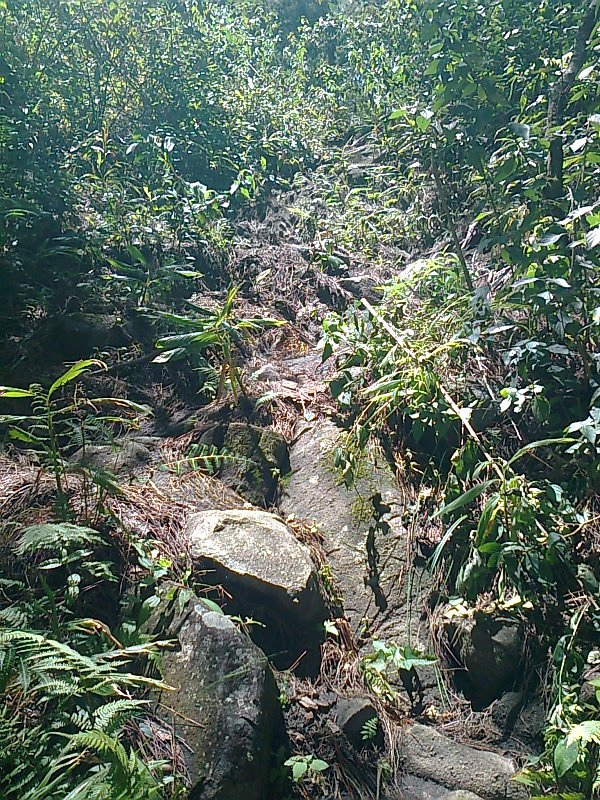 8042574280_9c8048e084_c.jpg