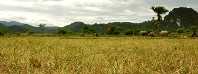 DSC_0036.jpg