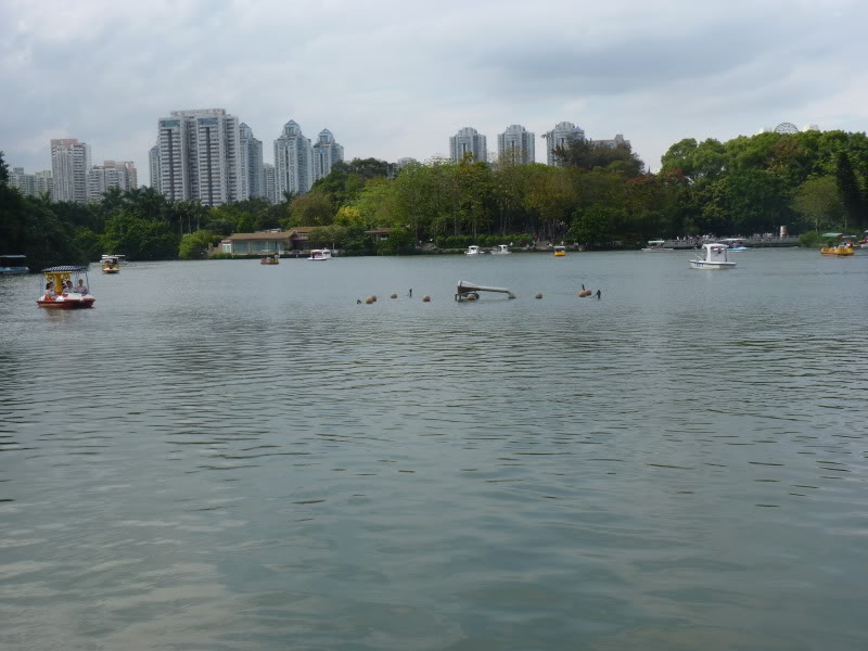 P1030760.jpg