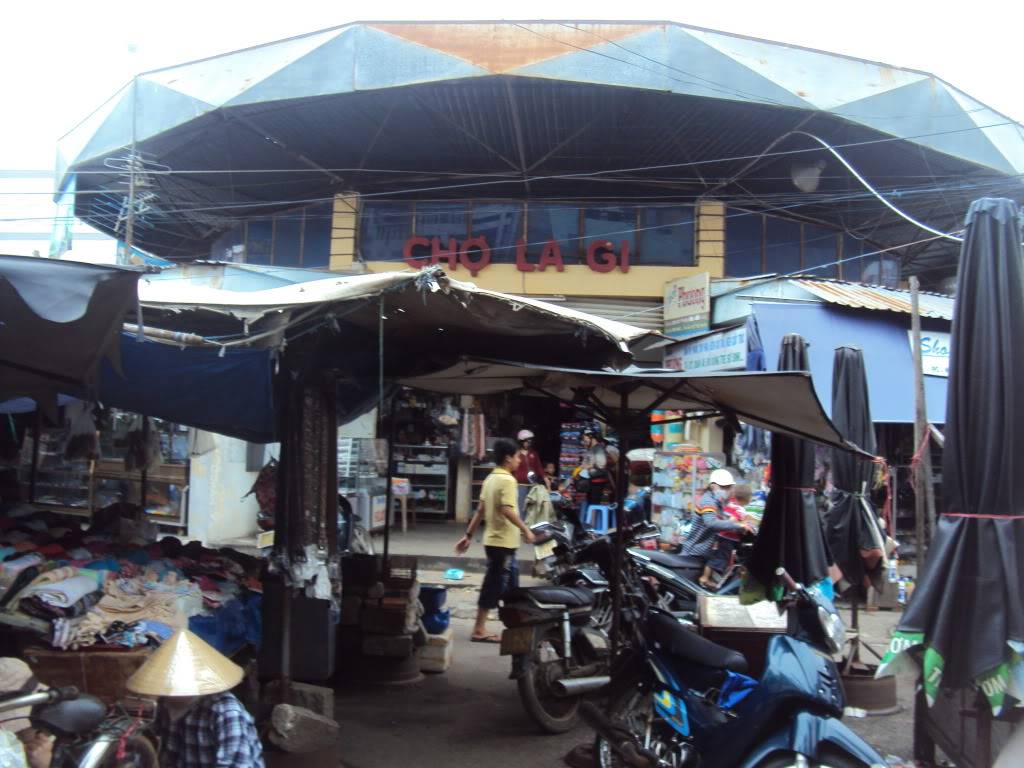 DSC03496-1.jpg