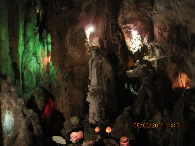 IMG_6650.jpg
