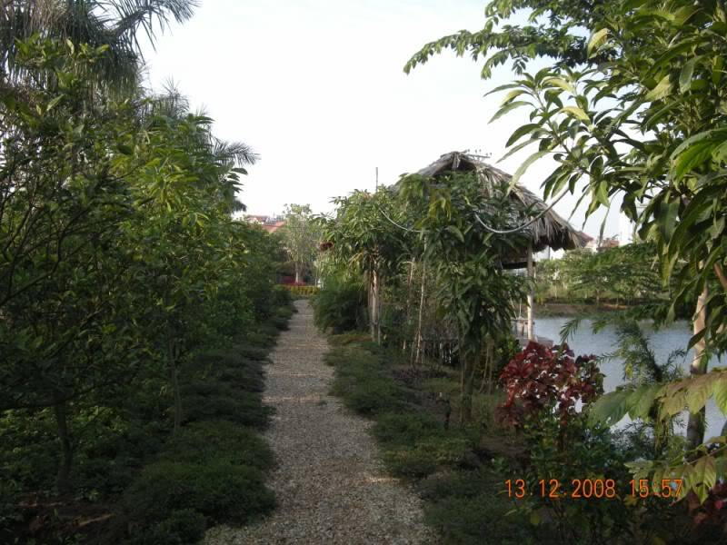 Loidi800x600.jpg