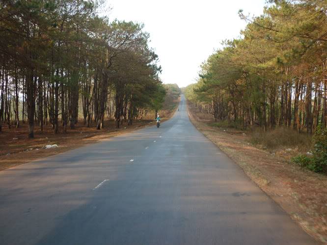 P1060716.jpg