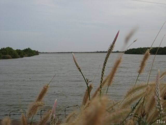IMG_0746.jpg