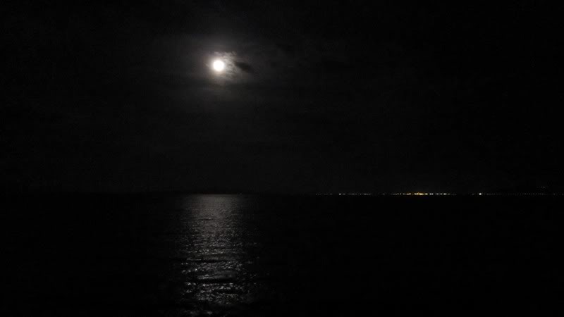 IMG_107800x600.jpg