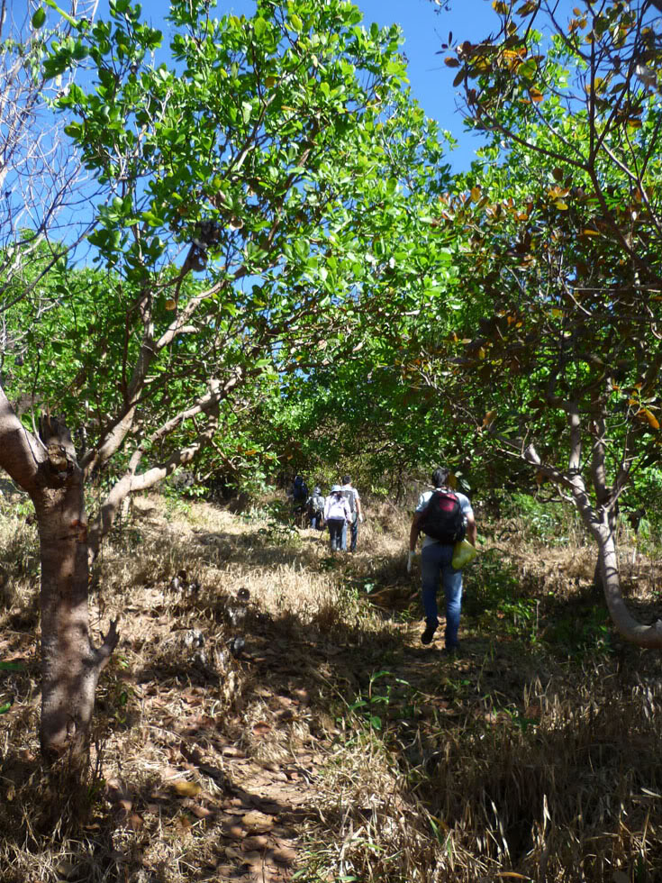 P1050705.jpg