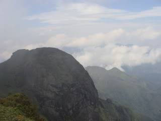 DSC06047.jpg