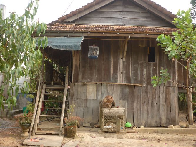 P1240619.jpg
