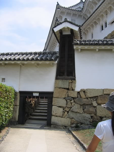 IMG_0547_resize.jpg