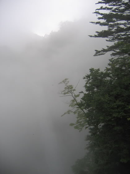 IMG_1627_resize.jpg