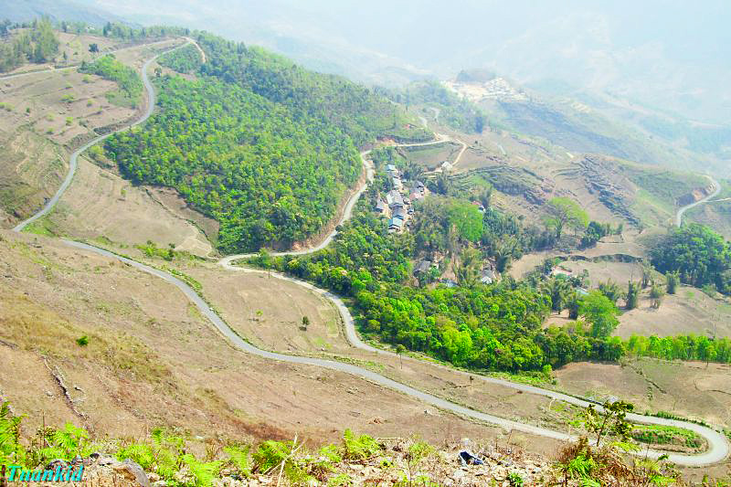 SDC16566.jpg