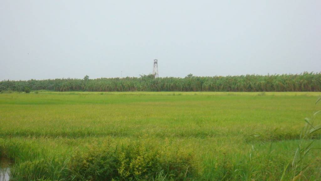 258.jpg