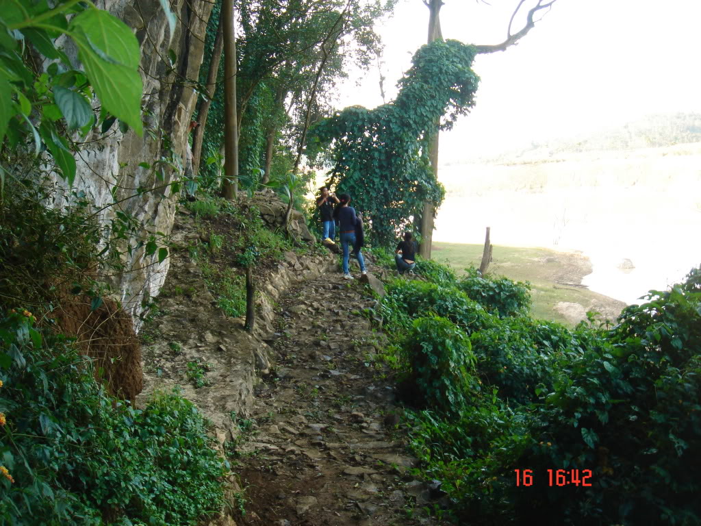 DSC01269.jpg