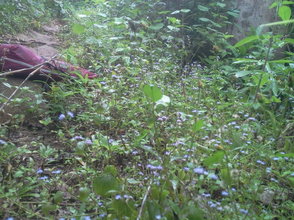 Photo0825.jpg