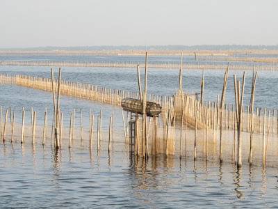 TAMGIANG5.jpg