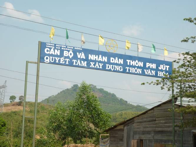 P1070429.jpg