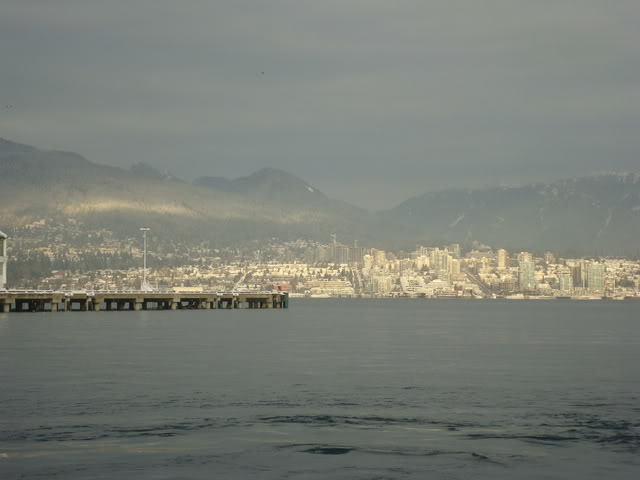 DSC07017.jpg