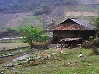 IMG0121A.jpg