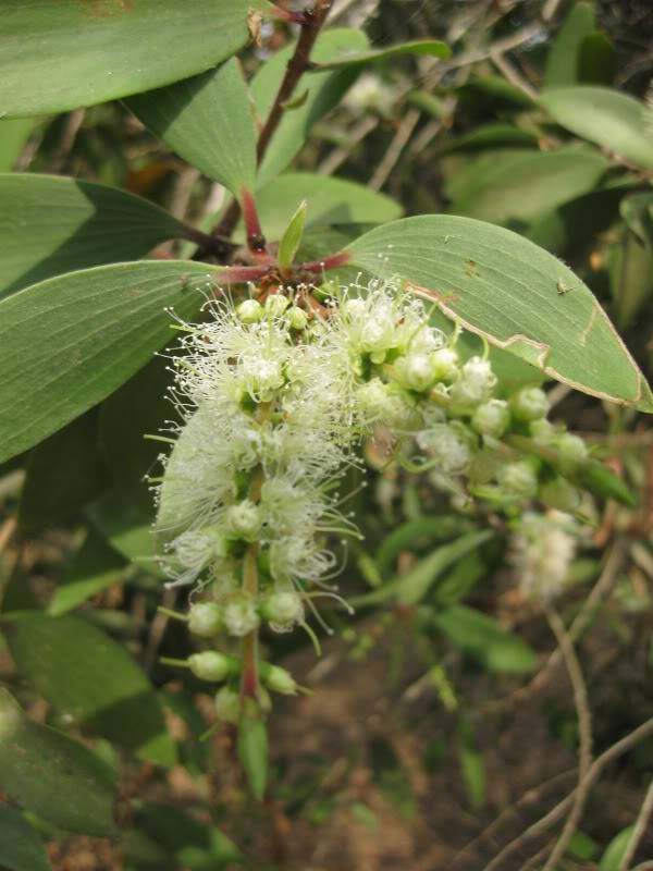 DongThapTET2011453.jpg