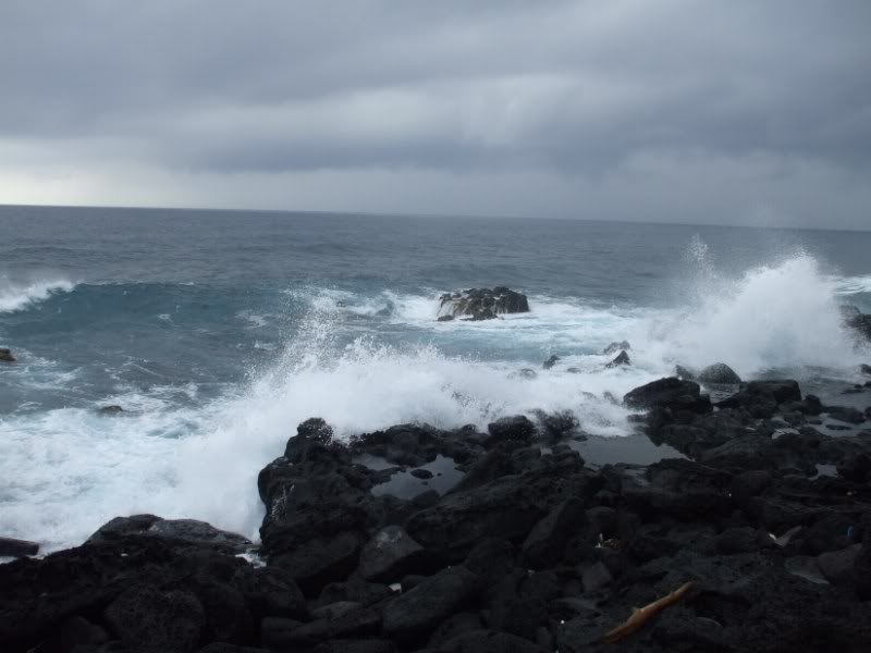 DSCF7026.jpg