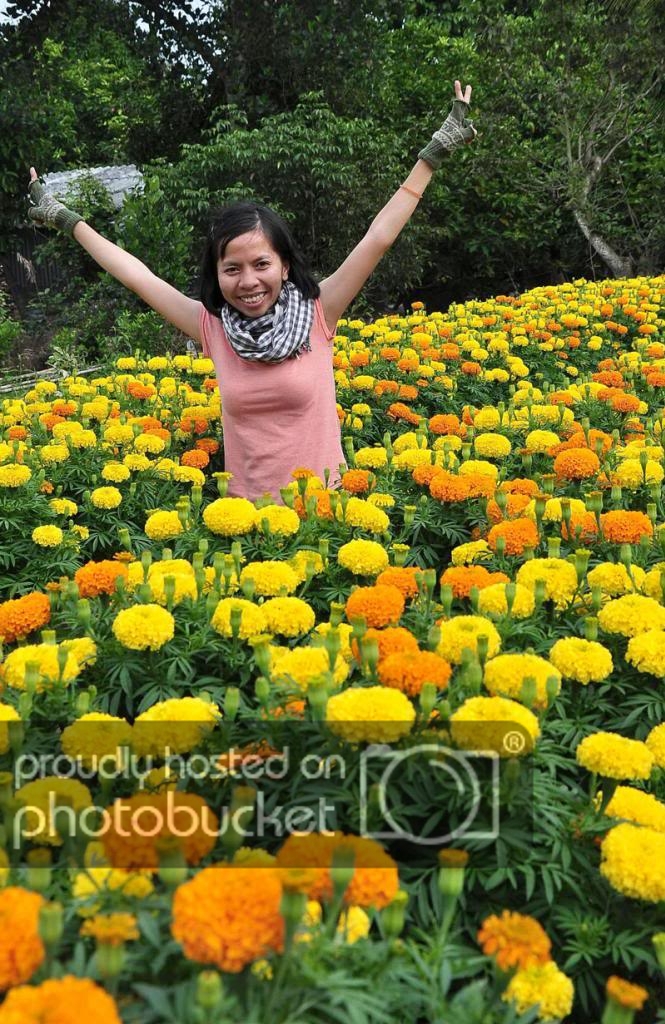DSC_4988_zpsa3737975.jpg