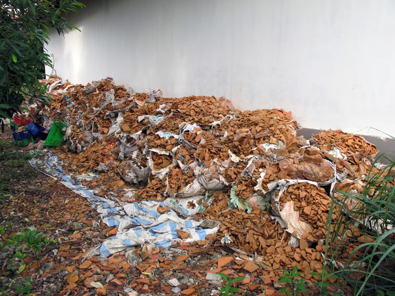 TayYenTu1010439.jpg